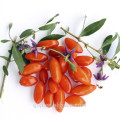 Cosmetic Diet organic dried wolfberry/goji berry